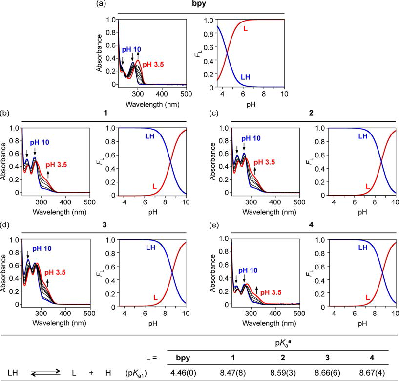 Solution speciation studies of bpy and 1−4.