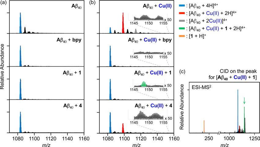 ESI-MS spectra of Aβ incubated with excess amounts of compounds (bpy, 1, and 4) in the absence and presence of Cu(II).