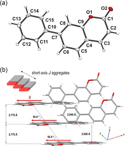 (a) X-ray crystal structure of PC with thermal ellipsoids drawn at the 50% probability level. (b) X-ray crystallographic packing diagram for PC. Two intermolecular interactions with distances of 2.775 and 2.945 Å, which correspond to the vertical displacements in J aggregation and C−H···π hydrogen bonds, respectively, are depicted.The red arrows represent transition dipole moments calculated from TD−DFT calculations.