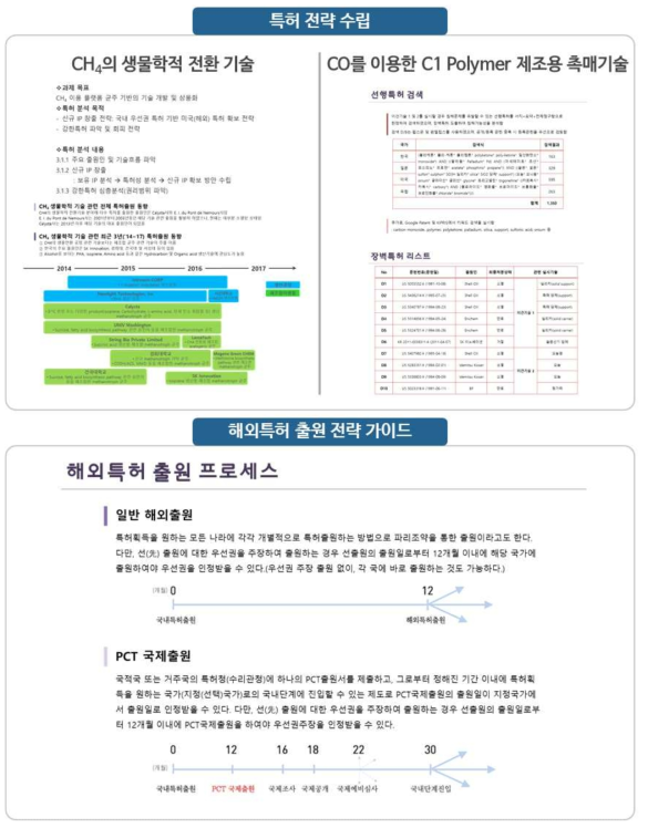 3차년도 특허전략 보고서 대상 과제 및 주요 내용