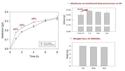 생물학적 메탄올 전환의 나노입자 효과와 나노입자의 재활용이후의 성능 테스트 및 질량 변화