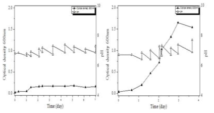 Methylomonas 속 균주의 호기메탄발효에서 구리이온 존재유무에 따른 성장성 비교