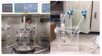 가) Methylomonas sp. DH-1 대량 배양을 위한 2.5 L 발효기, (나) 메탄에서 메탄올을 생산하기 위한 BCR