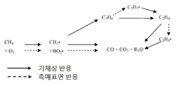 OCM 반응경로 예시