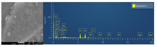 SEM 분석사진 (좌), SEM-EDS를 통한 원소 검출 (우)