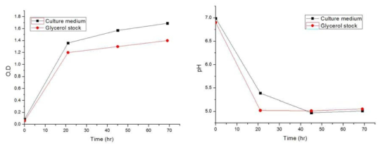 균주 보관방법에 따른 Clostridium autoethanogenum 배양실험