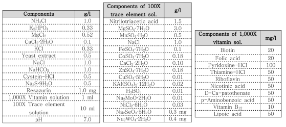 Clostridium 균주 배양 배지 조성