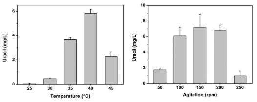 온도와 교반이 Methylobacterium sp. WJ4의 우라실 생산에 미치는 영향