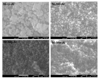 NiO-MOx-γ-alumina 촉매 (M=Mn, Mg, Li, Nb) FE-SEM 분석 결과