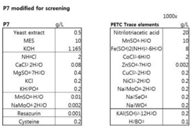P7-S (modified P7 medium) 배지 조성