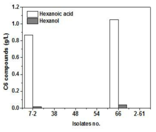 당 배양으로부터 C6 화합물을 생산하는 균주 후보군