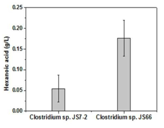 분리 균주의 헥사노익산 생산