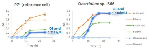 C. carboxidivorans P7과 Clostridium sp. JS66의 당배양 대사산물 비교