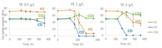 Yeast extract 농도에 따른 가스 분압 변화