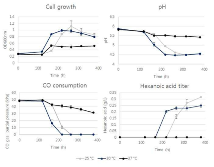 배양 온도가 Clostridium sp. JS66 혼합가스 발효에 미치는 영향