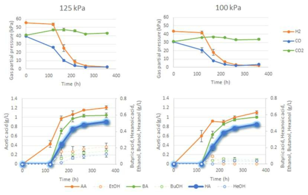 혼합 가스 총 압력에 따른 발효 특성 비교