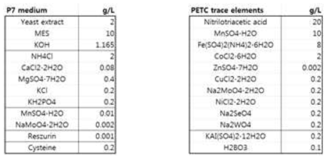 P7-S 배지에 2 g/L yeast extract를 추가한 배지 조성