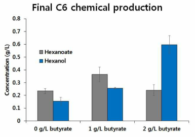 Butyrate의 농도에 따른 C6 화합물 생산 정도 비교