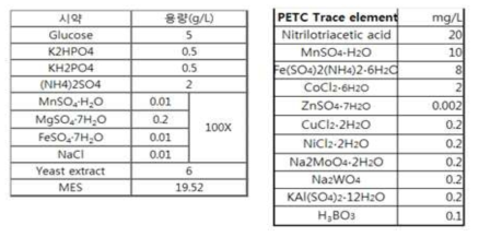 MP2 배지와 MP2 배지+trace elements의 조성