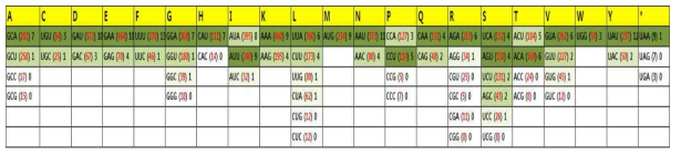 C. carboxidivorans P7의 codon usage (붉은색 숫자)및 codon optimizaton된 catP 유전자의 codon usage (검은색 숫자)