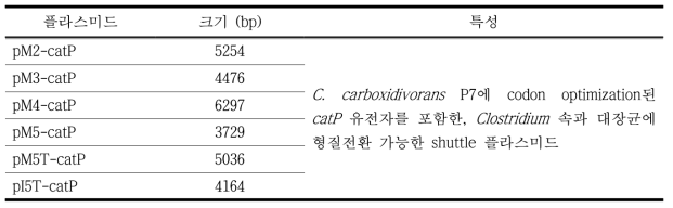 제작된 Clostridium 속과 E. coli에 형질전환이 가능한 shuttle 플라스미드