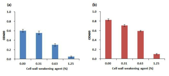 Cell wall weakening agent를 농도에 따라 첨가하고 6시간 추가 배양한 후의 C. carboxidivorans P7과 Clostridium sp. JS66의 생장정도.