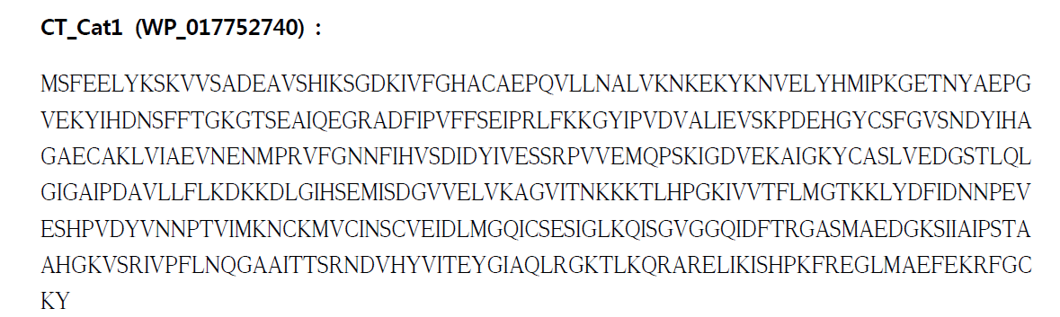 Clostridium tyrobutyricum의 CoA transferase 아미노산 서열