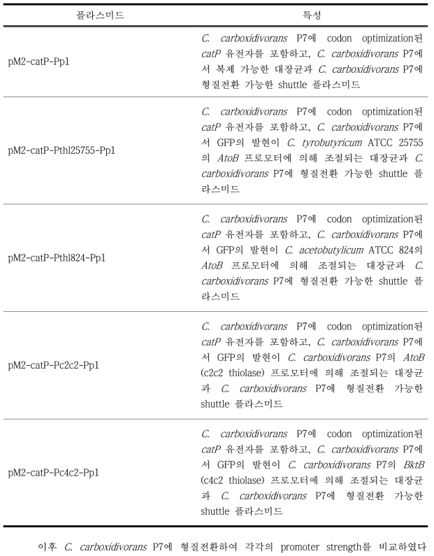 프로모터 세기 비교를 위해 확보된 플라스미드