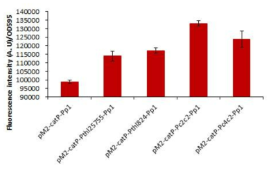 C. carboxidivorans P7에서 각종 thiolase promoter에 의한 GFP 발현량 비교