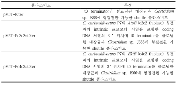 Clostridium sp. JS66에서 thiolase들을 과발현하기 위해 확보된 플라스미드