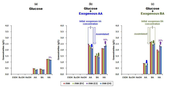 유일한 탄소원으로 포도당에 acetate 및 butyrate를 각각 첨가한 배지에서 신규 균주 인 Clostridium sp.