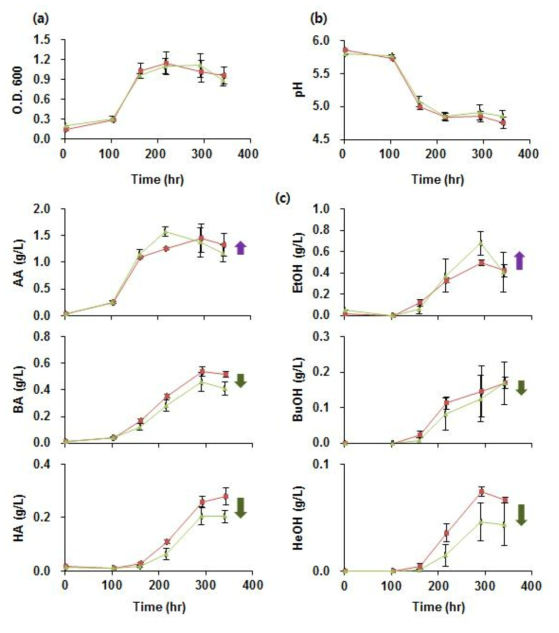 Clostridium sp. JS66과 C. carboxidivorans P7의 thiolase를 과발현하지 않은 Clostridium sp.