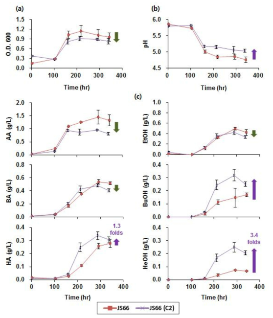 Clostridium sp. JS66과 C. carboxidivorans P7의 acetyl-CoA acetyltransferase (AtoB; c2c2 thiolase)를 과발현한 Clostridium sp. JS66 (C2)의 syngas 배양에서 생장과 pH 변화 및 대사산물 생산 경향 비교.