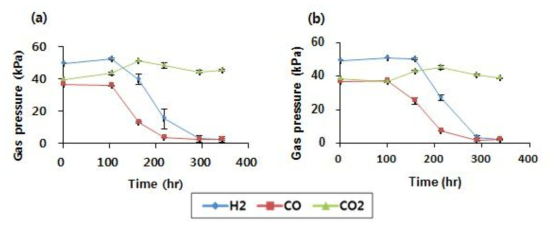 Clostridium sp. JS66과 C. carboxidivorans P7의 3-keto-Hexanoyl–CoA의 합성에 관여하는 a-ketothiolase (BktB; c4c2 thiolase)를 과발현한 Clostridium sp. JS66 (C4)의 syngas 소모 경향 비교.