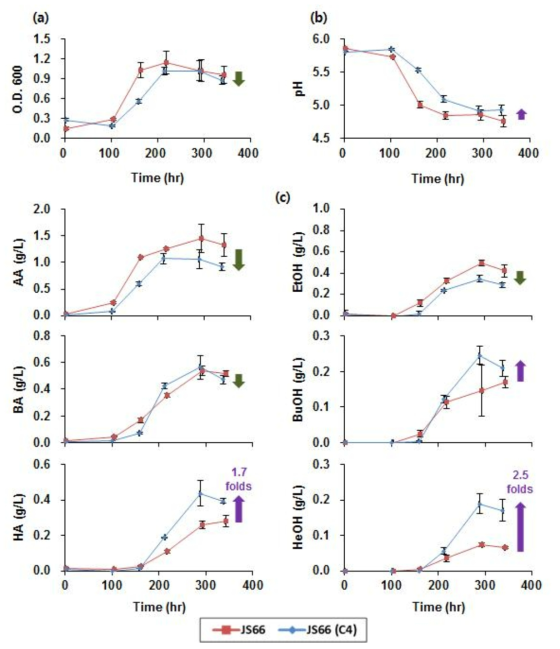 Clostridium sp. JS66과 C. carboxidivorans P7의 3-keto-Hexanoyl–CoA의 합성에 관여하는 a-ketothiolase (WP_007063431; BktB; c4c2 thiolase)를 과발현한 Clostridium sp. JS66 (C4)의 syngas 배양에서 생장과 pH 변화 및 대사산물 생산 경향 비교.