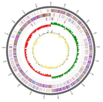 Clostridium sp. JS66의 whole genome sequencing map