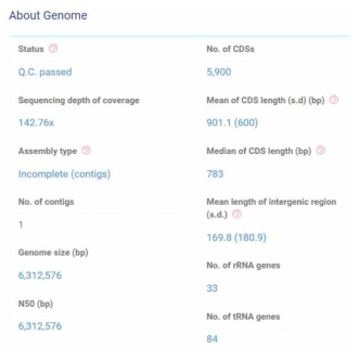 Clostridium sp. JS66의 whole genome sequencing 정보