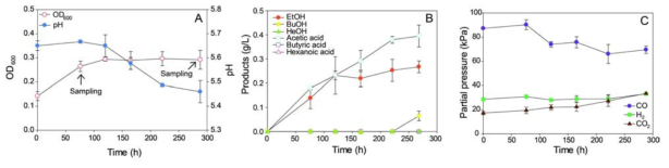 C. carboxidivorans P7의 CO 배지에서 fermentation profiles