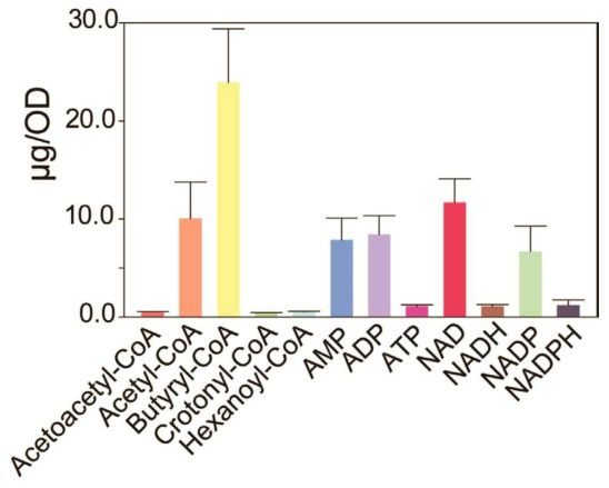 세포 내 Wood-ljungdahl pathway 및 유기산 생산 중간물질과 에너지 cofactors 13종의 정량