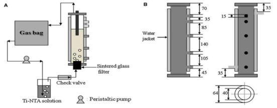 가축분뇨 농화배양을 통한 (homo)acetogen 분리에 이용된 gas-lift reactor