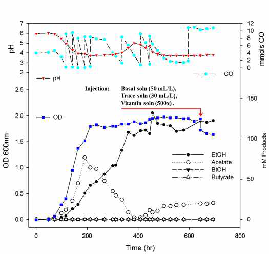 CO 지속 공급을 통한 Clostridium autoethanogenum의 fed-batch 배양