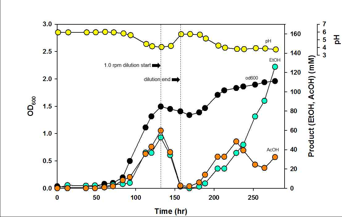 생물반응기 운전을 통한 C. autoethanogenum 의 회분배양 및 간헐적 배양액 교체 운전 그래프. 배양액 희석을 통해 pH를 조절