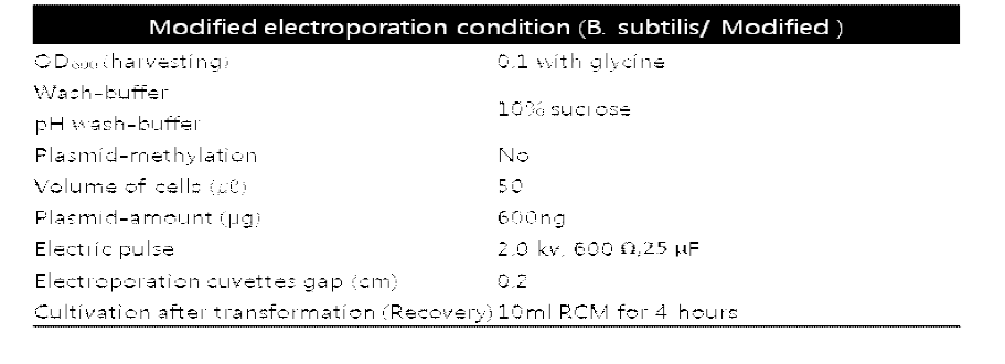 변형 및 최적화한 Clostridium 균주용 형질전환 방법