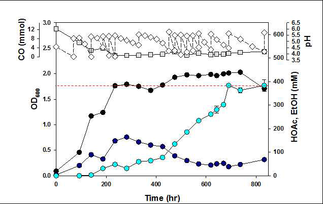 CO spike를 통한 C. autoethanogenum 생장 및 산물 생산 곡선