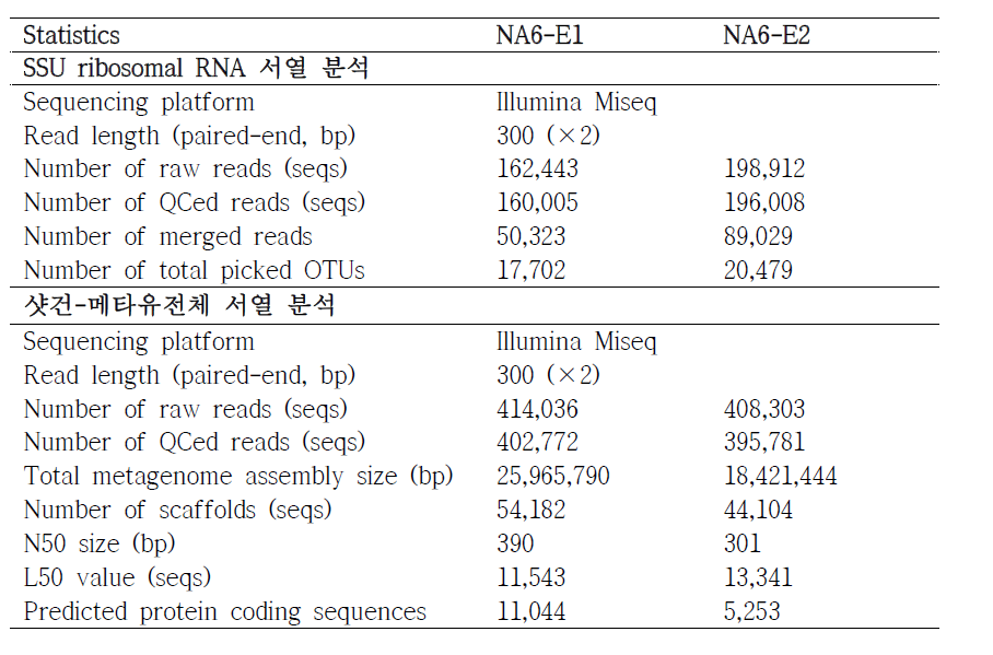 SSU ribosomal RNA 증폭 및 샷건-메타유전체 서열 분석 결과 및 통계