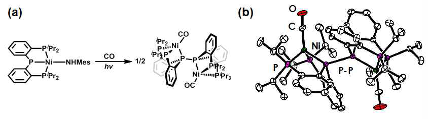 (a) (PPP)Ni(NHMes) 과 일산화탄소의 반응 그리고 (b) 생성된 화합물의 결정 구조
