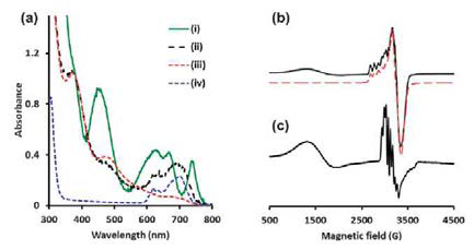상자기성 Co-(η1-H-Si) 종의 UV-Vis 흡광도와 EPR 분석