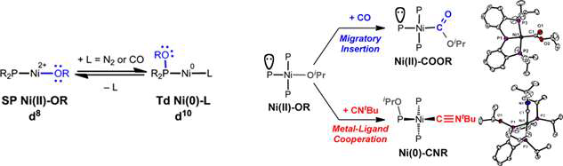 PPP 리간드가 배위된 니켈 착물의 금속-리간드 협동성을 이용한 카보닐화 반응.