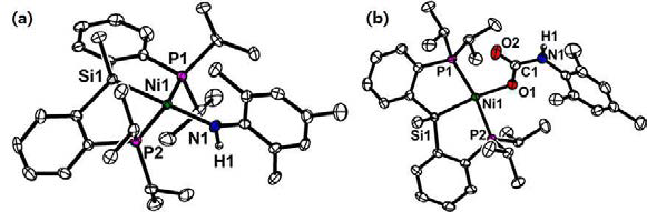(MeSiP )Ni(NHAr)와 (MeSiP )Ni(OCONHAr)의 결정구조