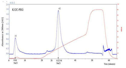 Cation exchange (HiTrap SP)chromatogram for Exenatide-PEGylate (10 kD MW).